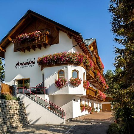 Апартаменти Haus Anemone Зерфаус Екстер'єр фото